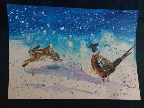 Original wildlife watercolour