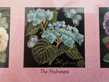 Elizabeth Bradley - Botanical