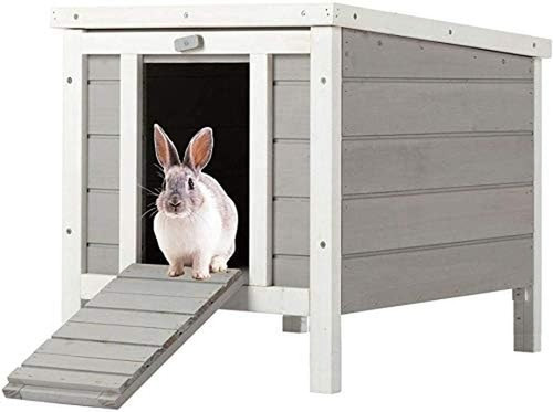 Cat puppy rabbit - cat/puppy/rabbit/guinea, pig