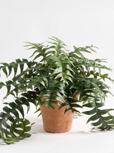 Pottery barn faux potted - pottery,