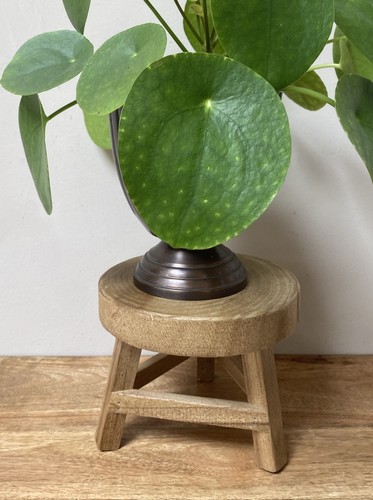 Small rustic wooden plant - small,