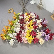 Extra Long Spider Lily Spray