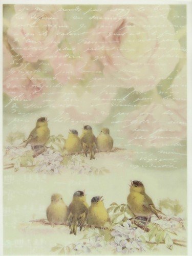 Printed translucent vellum - translucent, /