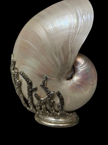 Decorative silver encased - decorative,
