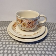 Poole Pottery "Summer Glory"