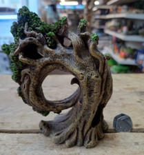 Twisted Arched Gnarly Tree