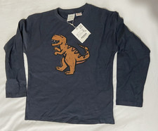 Zara Boys Dinosaur Long sleeve