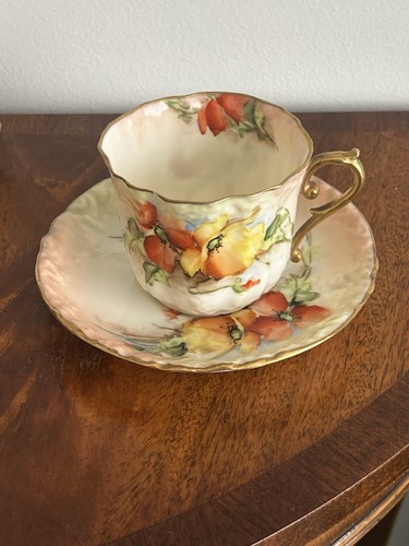 Antique scottish nautilus - scottish,