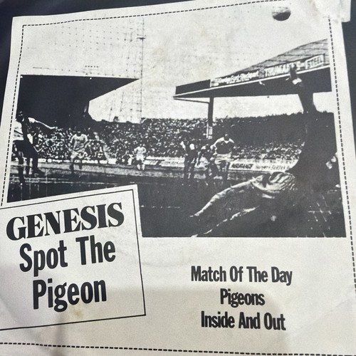 Spot the pigeon - spot,