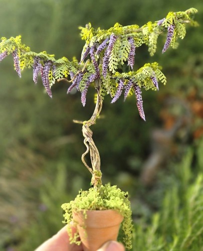 Dolls house purple wisteria - house,