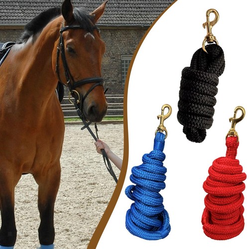 Horse lead rope equine - lead,