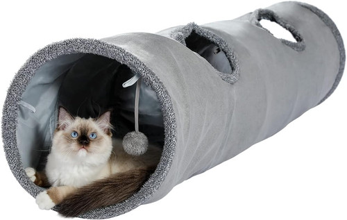 Collapsible cat tunnel - cat, in