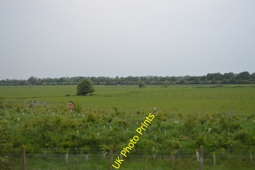 Photo 6x4 pasture land - photo,