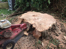 Tree Stump Grinder removal for