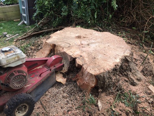 Tree stump grinder removal - removal, for