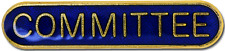 Committee Pin Badge in Blue