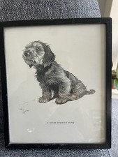 Cecil Aldin “A Dandy Dinmont Puppy”1930s In Original Frame Signed