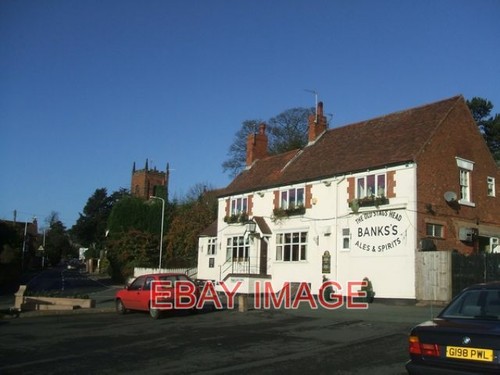 Photo the old stags head - the,