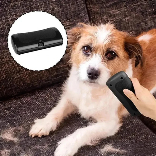 Bugalugs deshedding grooming - bugalugs,