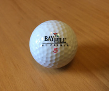 BAYHILL BY PALMER TITANIUM