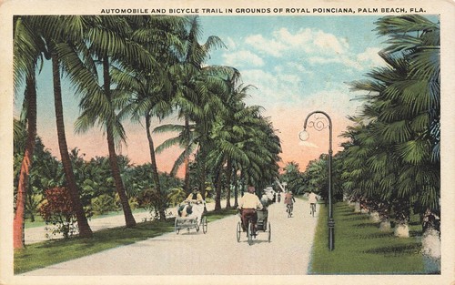 Palm beach florida automobile - palm,