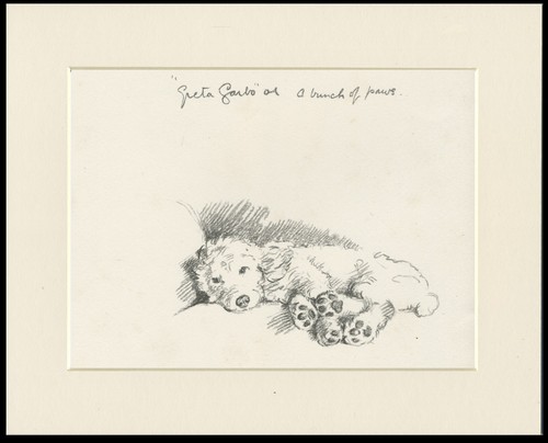 Poodle vintage 1937 - vintage, dog
