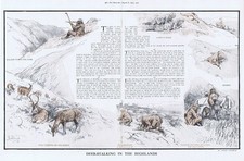 SCOTLAND Deer Stalking in the Highlands - Antique Print 1923
