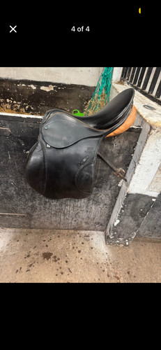 Jumping saddle - jumping,