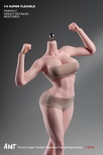 ANT 1/6 T307 Fitness Plump