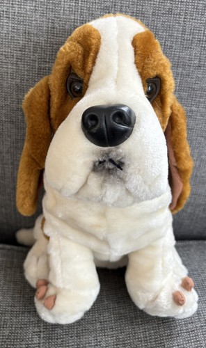 Grove basset hound - grove,