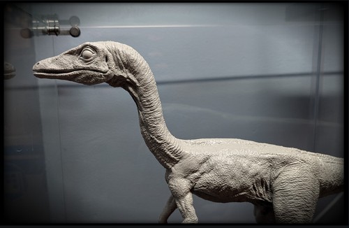 Jurassic park the lost world - the,