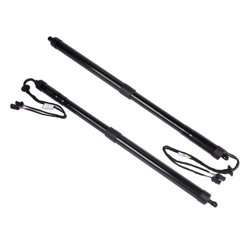 Tailgate powerlift rear set - 2x,