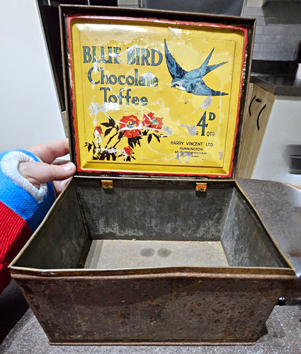 Blue bird vintage chocolate - bird,