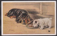 VINTAGE POSTCARD MAC ARTIST