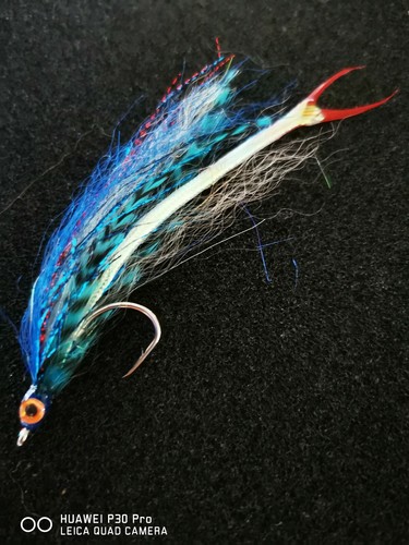 Saltwater competition sz1 0 - saltwater,