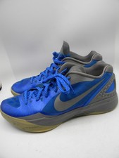 Nike Zoom Hyperdunk Low PE