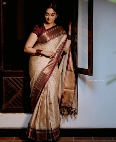 Indian ethnic saree - indian,