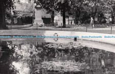 R703910 Portsmouth. Goldfish Basking in Sun. On Pond in Bishops Parc
