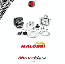 Thermal Group Cylinder Kit Malossi 317353 Cast Iron D.47 Gilera DNA 50 2T LC