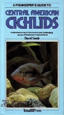 Central american cichlids - central,