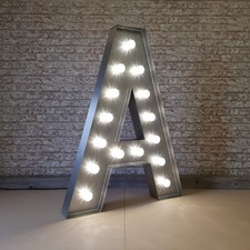 4ft light up/light bulb