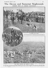 CLOUTSHAM The Devon and Somerset Staghounds - Antique Print 1921