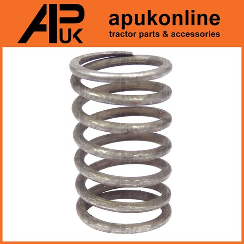Engine cylinder valve spring - engine,