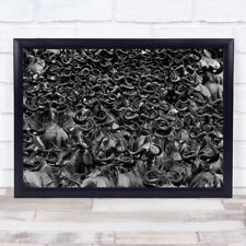Wildebeest Crossing Animal Wildlife Horns Horn Black & White Migration Print