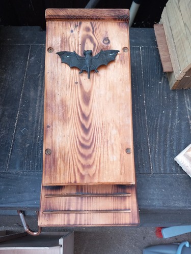 One redwood bat box - bat,