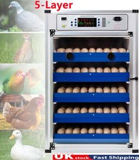 340 Automatic Digital Eggs