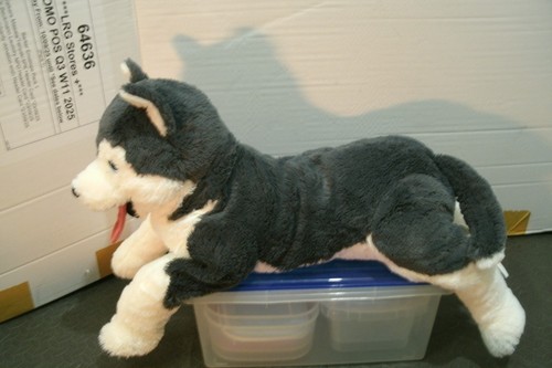 Ikea livlig floppy husky - husky, dog