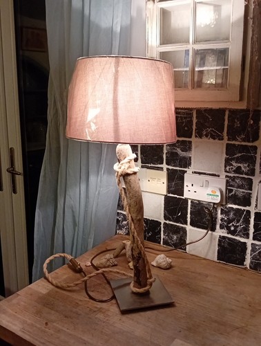 Handmade driftwood lamp - ,