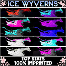 Level 362+ Ice Wyvern TOP