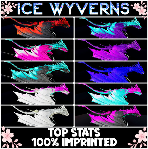Ice wyvern top stats - wyvern, level